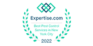 Expertise Award