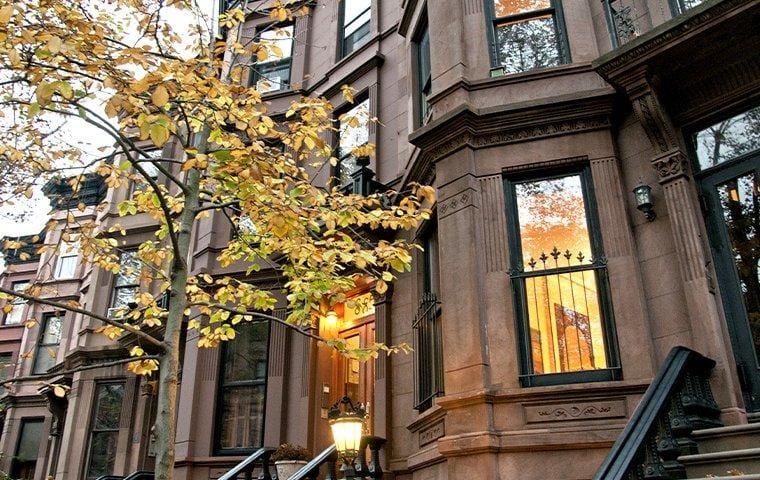 Front windows of house with overreaching tree branches