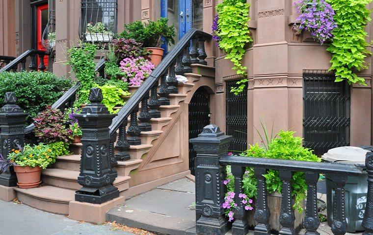 front of house with flowers