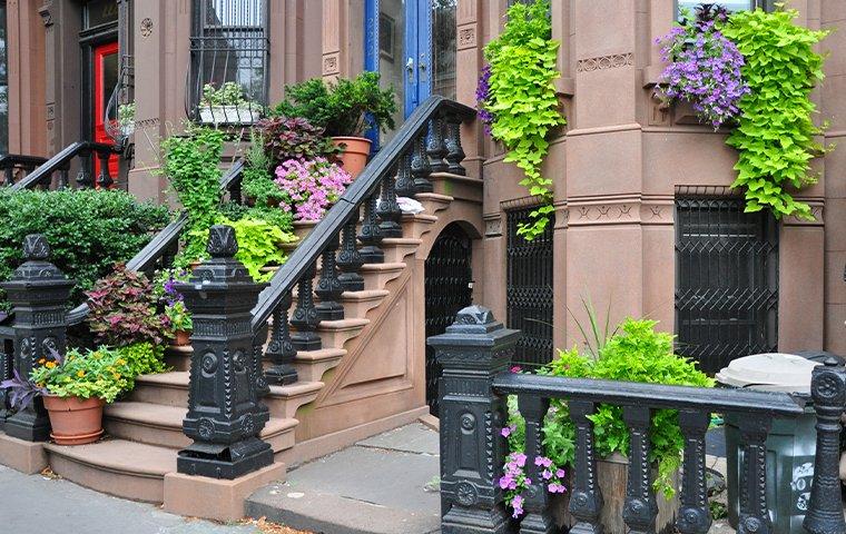 Front of house with flowers and plants