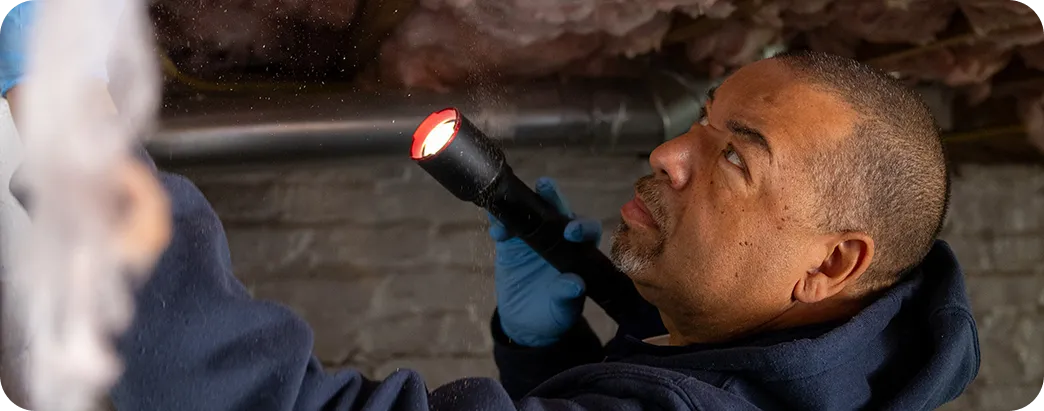 Man wearing blue gloves inspects a crawl space with a flashlight showing a red beam