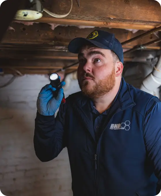 Technician in a navy cap and vest inspects a crawl space with a flashlight and blue gloves